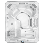 Dance Spas 780 Series Montclair overhead